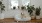 large dog sits in its bed under a windowsill full of potted plants